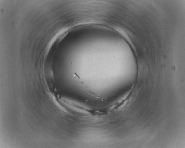 X0000076221197200610122042