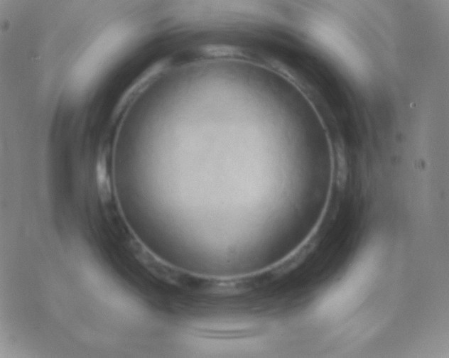 X0000076221198200610122042