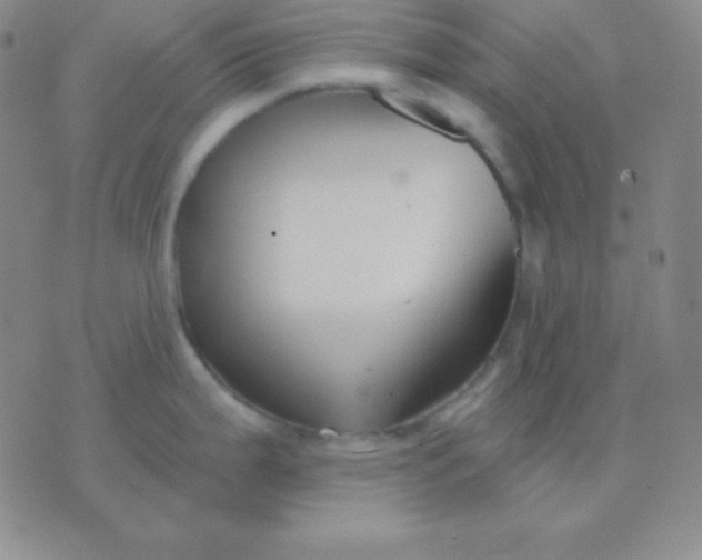 X0000076221199200610122042