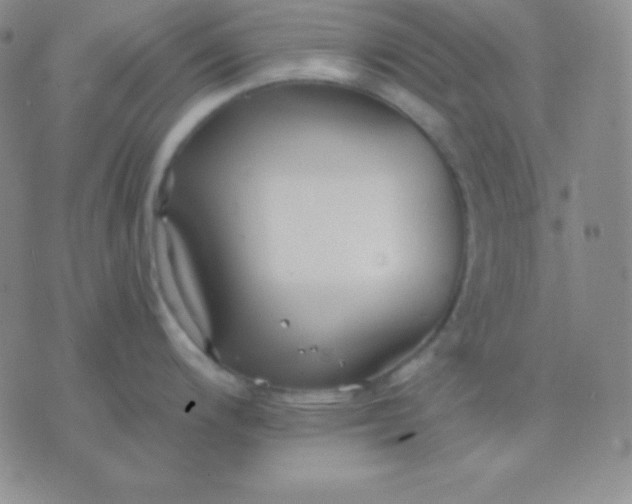 X0000076221200200610122042