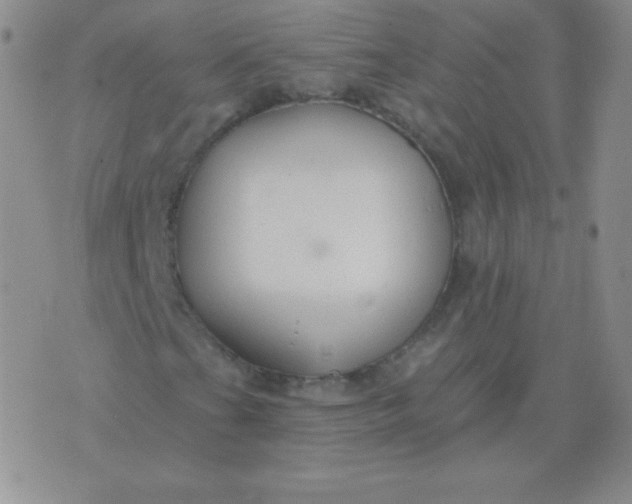 X0000076221201200610122041