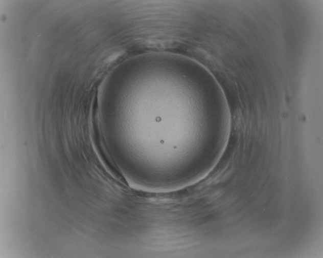 X0000076221202200610122041