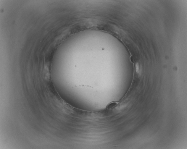 X0000076221203200610122041