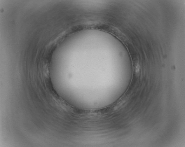 X0000076221204200610122041