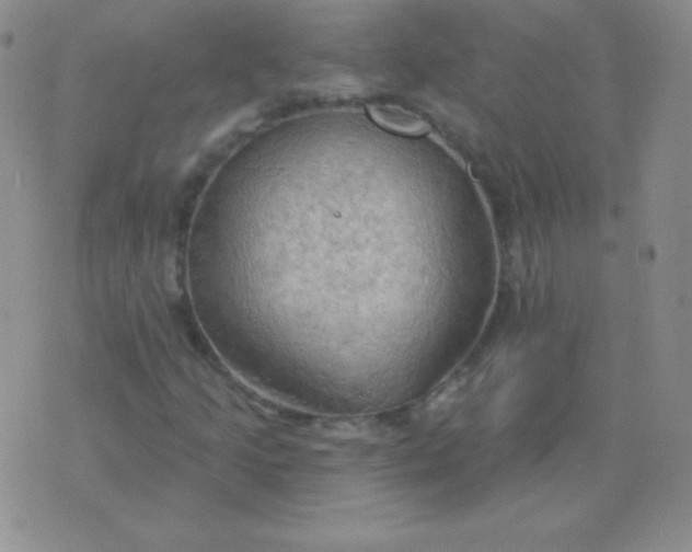 X0000076221205200610122041