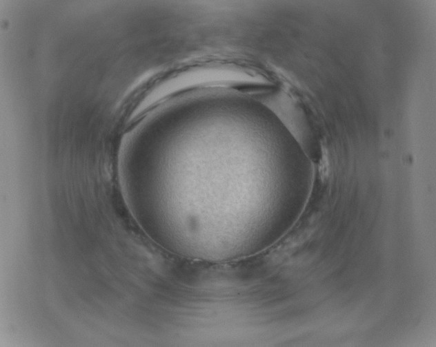 X0000076221206200610122041