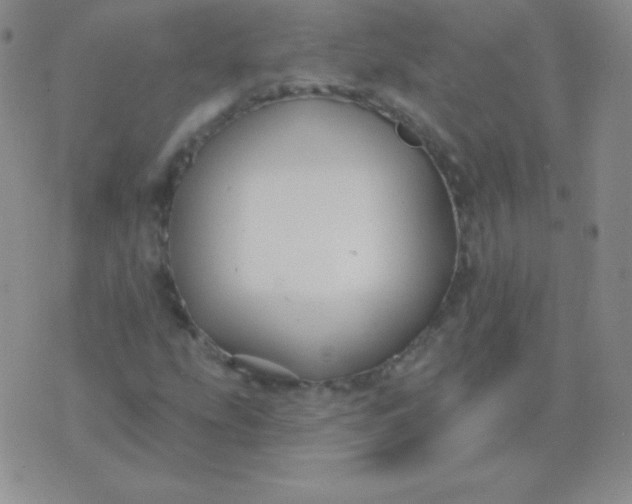 X0000076221207200610122041