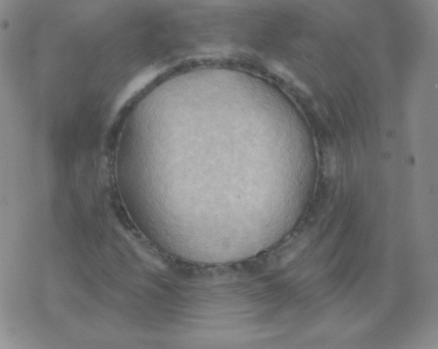 X0000076221208200610122041