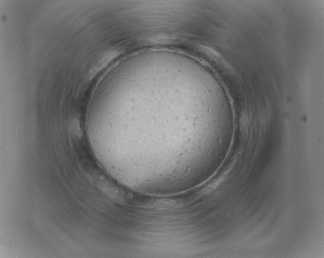 X0000076221209200610122041