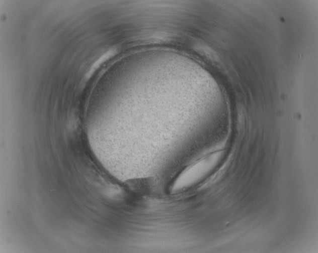 X0000076221210200610122041