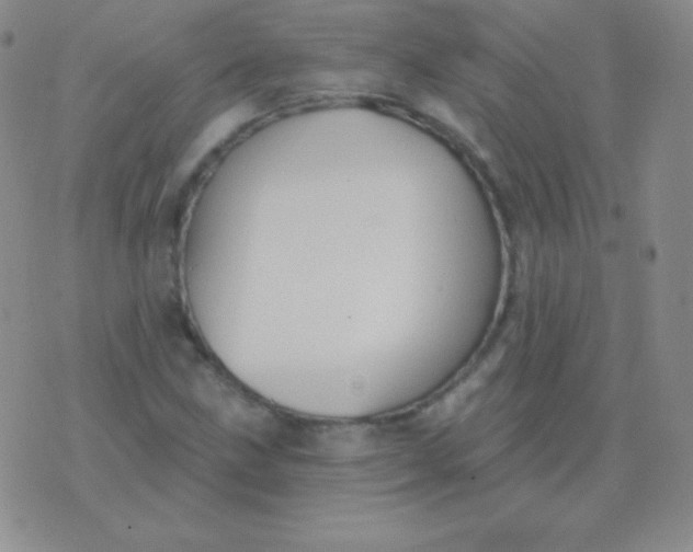 X0000076221211200610122041