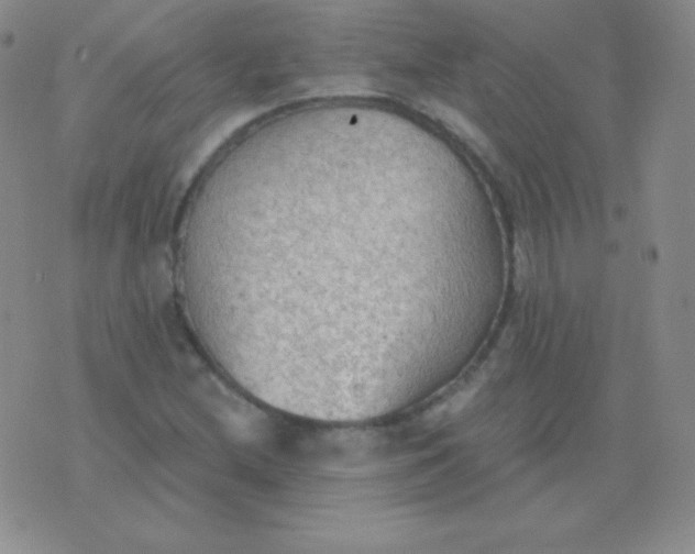 X0000076221212200610122041