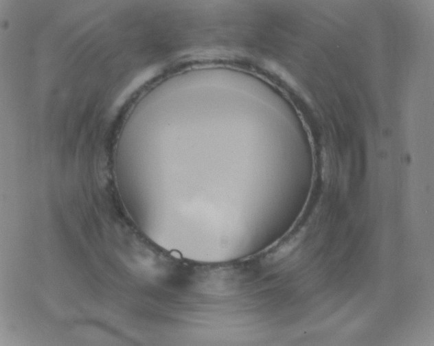 X0000076221213200610122041