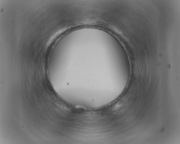 X0000076221214200610122041