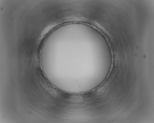 X0000076221215200610122041