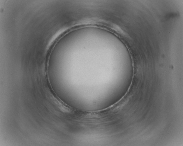 X0000076221216200610122041