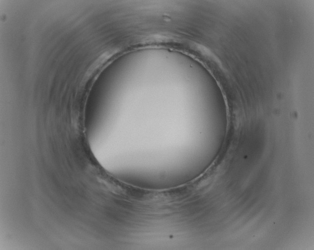 X0000076221217200610122041