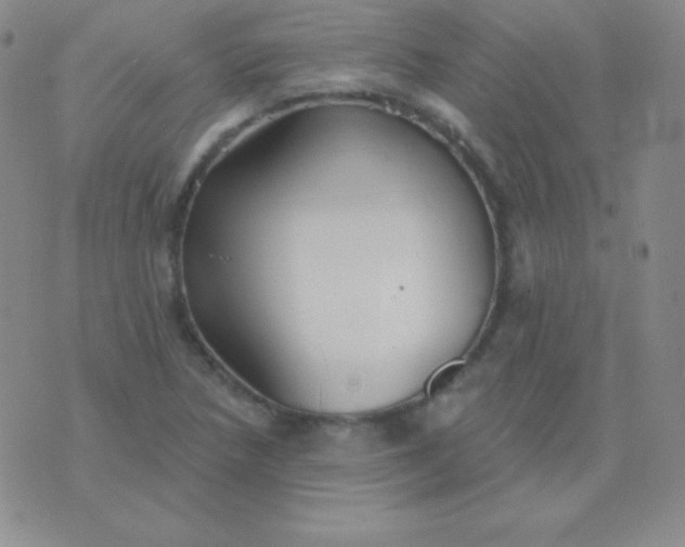 X0000076221218200610122041