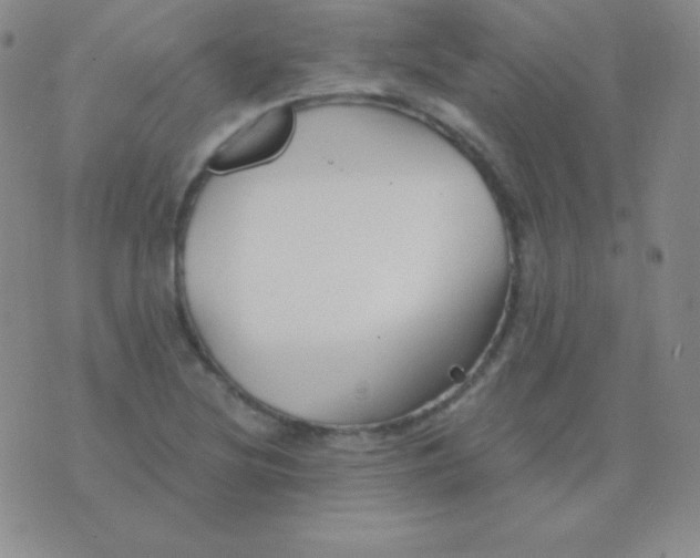 X0000076221220200610122041