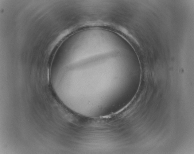 X0000076221221200610122041