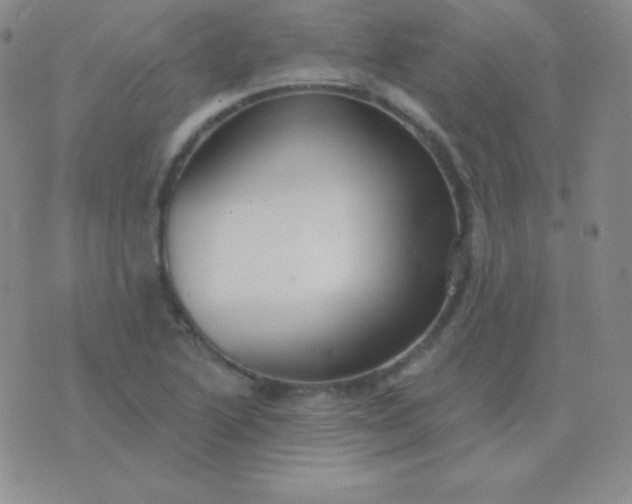 X0000076221222200610122041