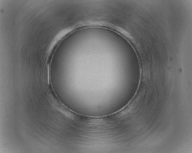 X0000076221223200610122041