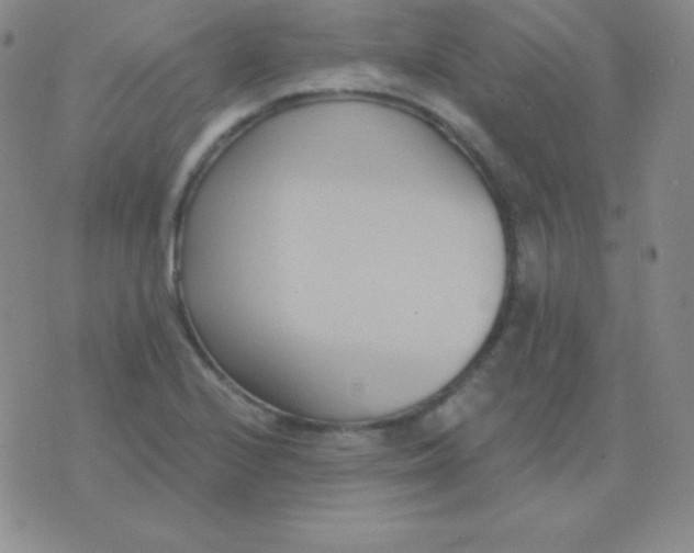 X0000076221224200610122042