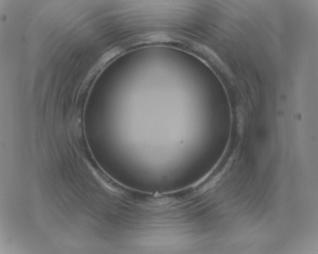 X0000076221225200610122042