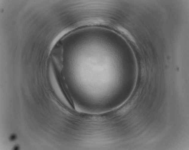 X0000076221226200610122042