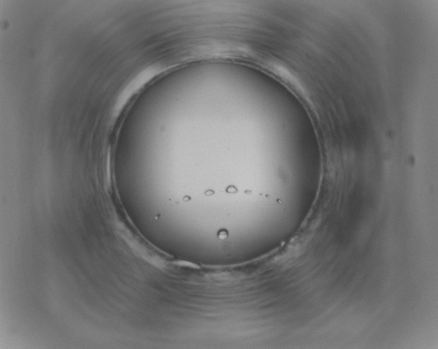 X0000076221227200610122042