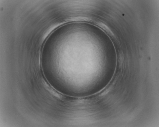 X0000076221228200610122042