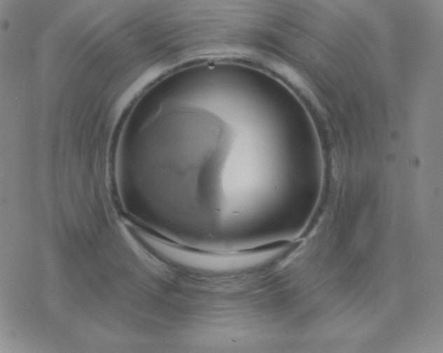 X0000076221229200610122042