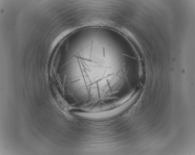 X0000076221230200610122042