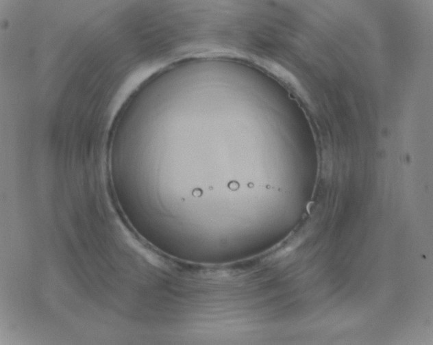 X0000076221231200610122042