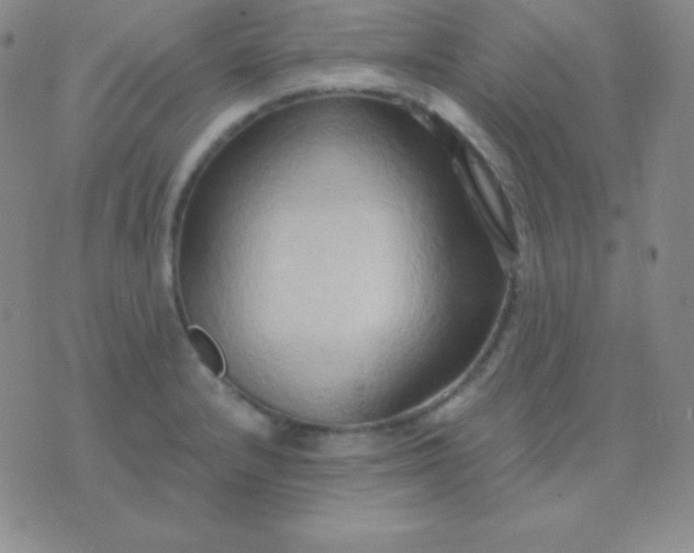 X0000076221232200610122042