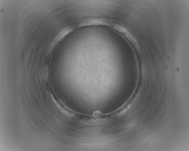 X0000076221233200610122042