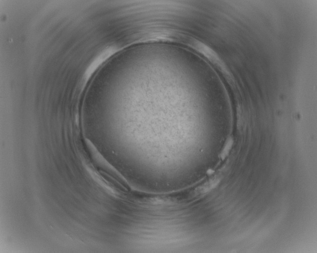 X0000076221234200610122042