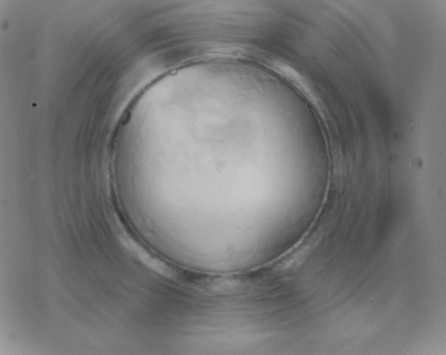 X0000076221235200610122042