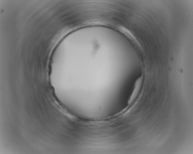 X0000076221236200610122042