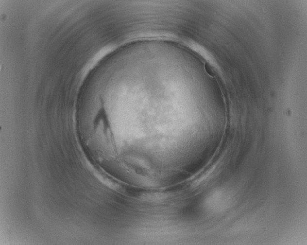 X0000076221237200610122042