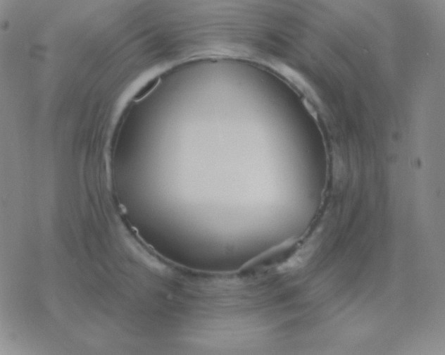 X0000076221238200610122042