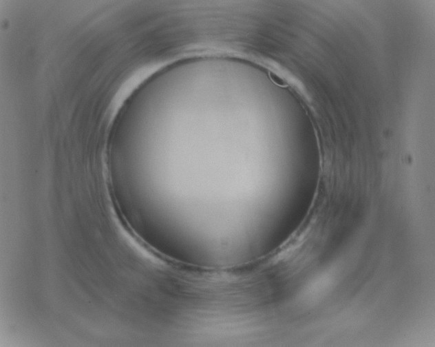 X0000076221239200610122042