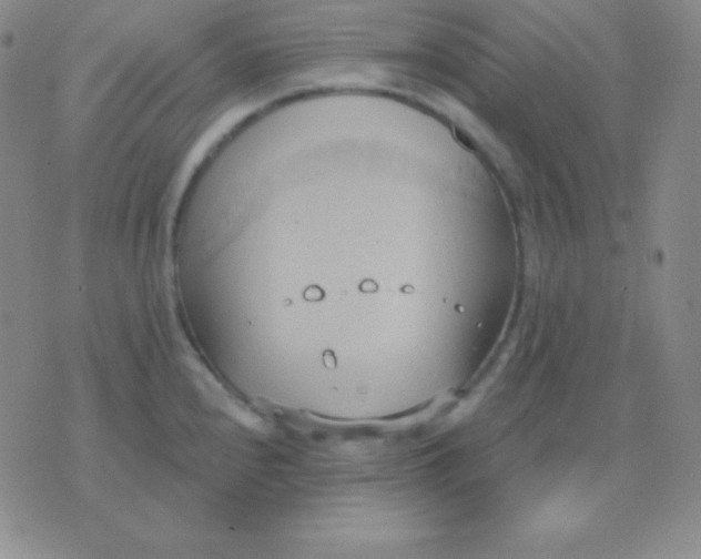 X0000076221240200610122042