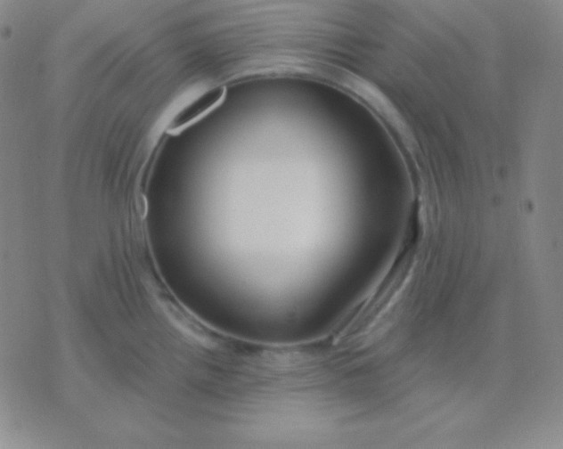 X0000076221242200610122042