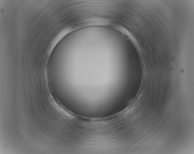 X0000076221243200610122042