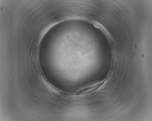 X0000076221244200610122042