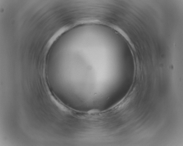 X0000076221245200610122042