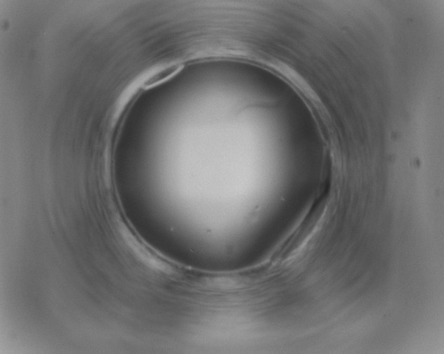 X0000076221246200610122042