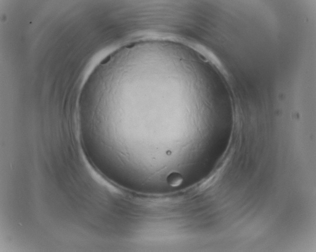 X0000076221247200610122042