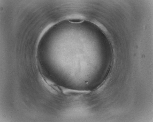 X0000076221248200610122042